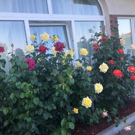 Rezydencja Lux Rewa Dış mekan fotoğraf